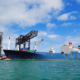Ocean Freight Market Outlook 2022-2024